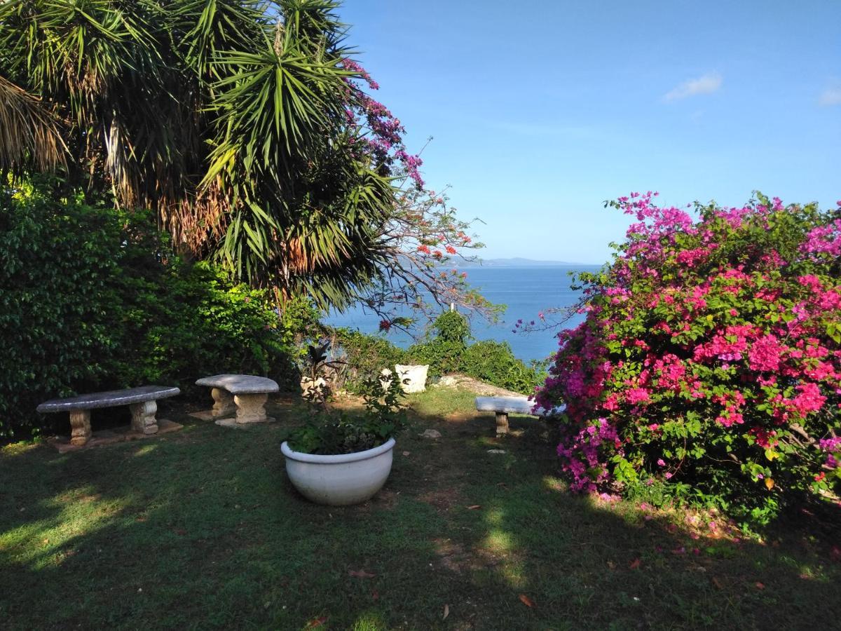 Irresistible View-Mobay Club 1408 Apartment Montego Bay Ngoại thất bức ảnh