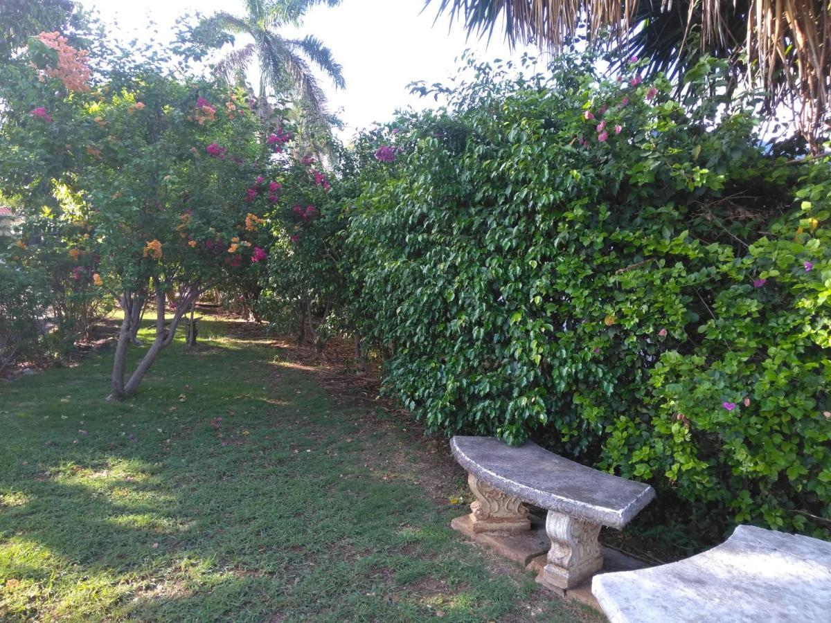 Irresistible View-Mobay Club 1408 Apartment Montego Bay Ngoại thất bức ảnh