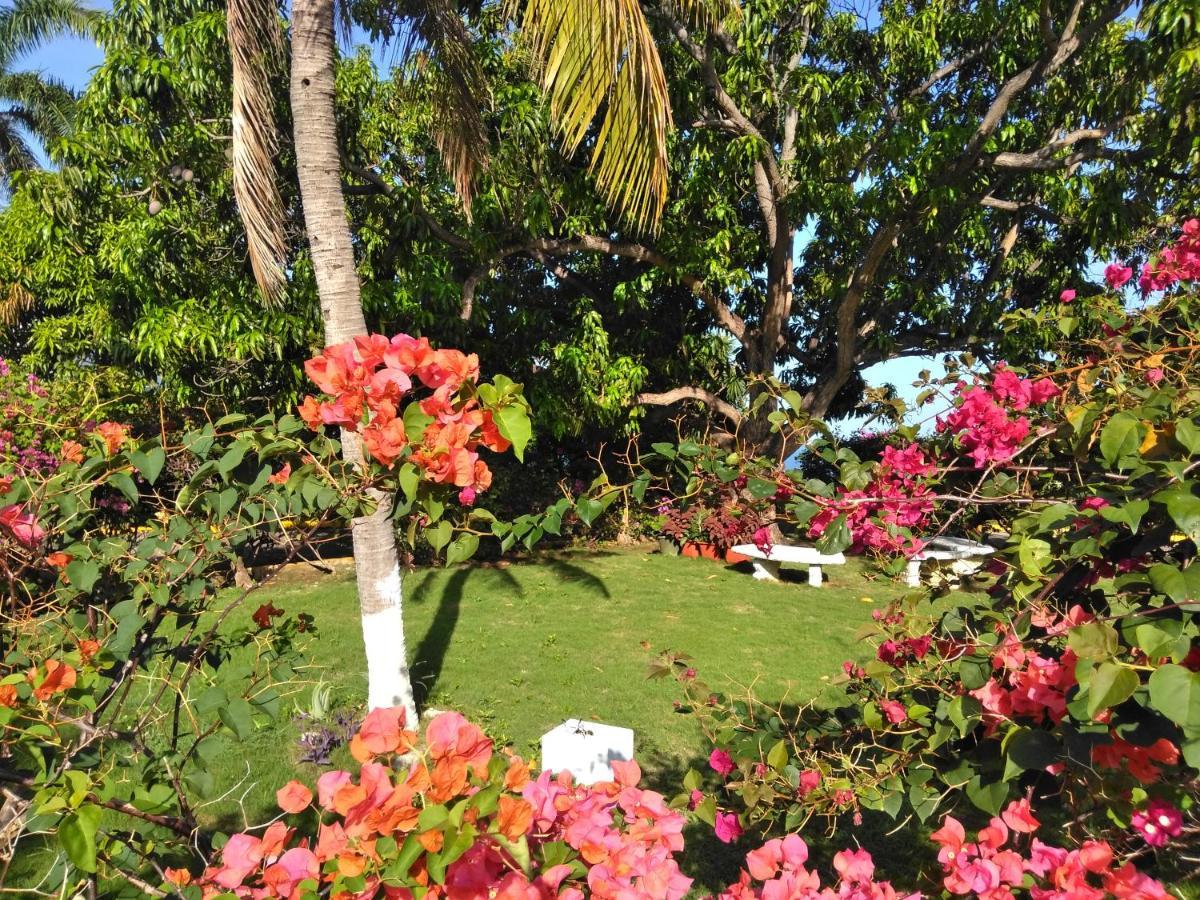 Irresistible View-Mobay Club 1408 Apartment Montego Bay Ngoại thất bức ảnh