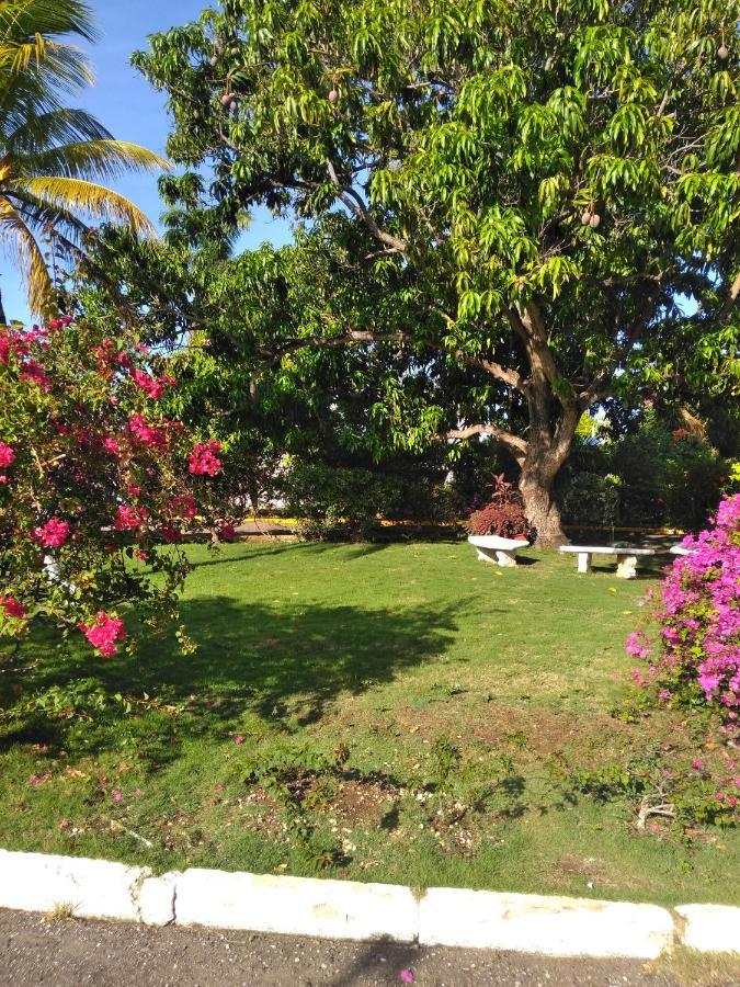 Irresistible View-Mobay Club 1408 Apartment Montego Bay Ngoại thất bức ảnh