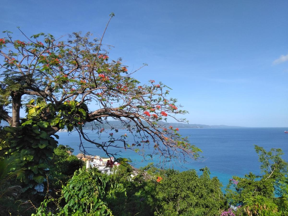 Irresistible View-Mobay Club 1408 Apartment Montego Bay Ngoại thất bức ảnh
